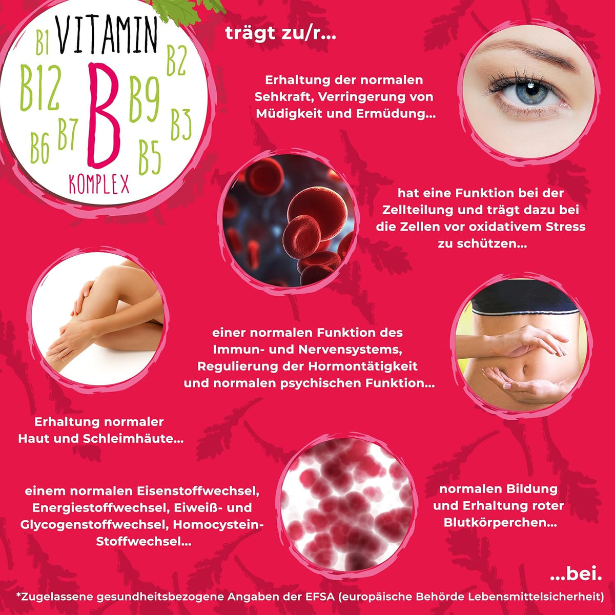 Vitamin B-Komplex - B1 + B2 + B3 + B5 + B6 + B7 + B9 + B12 fuer Erwachsene, vegan, hochdosiert - 180 Kapseln (6 Monats-Vorrat)